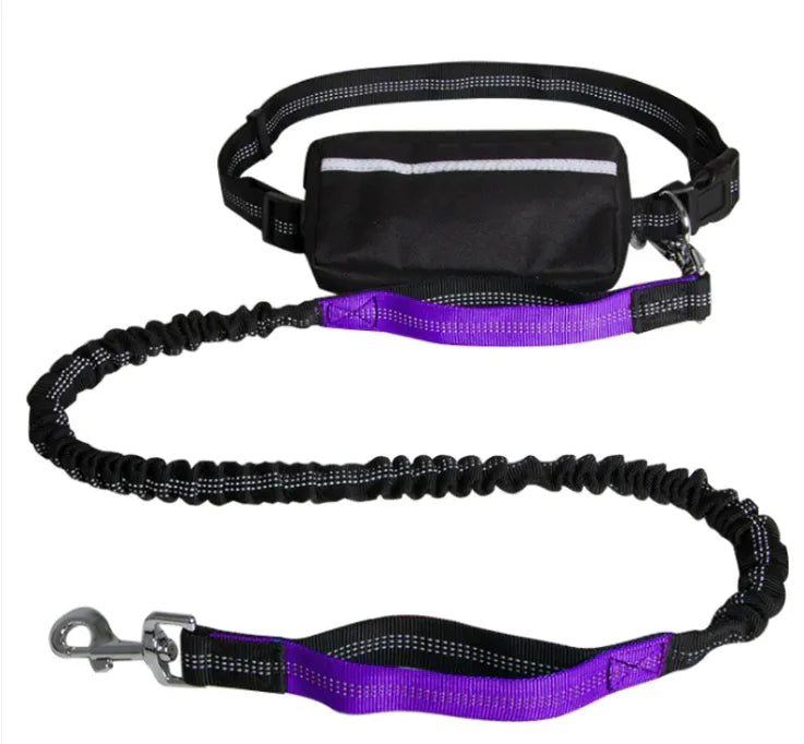 Pawlis™ - Running Hands-Free Leash