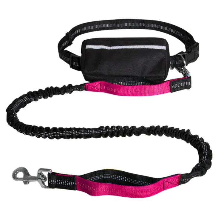 Pawlis™ - Running Hands-Free Leash