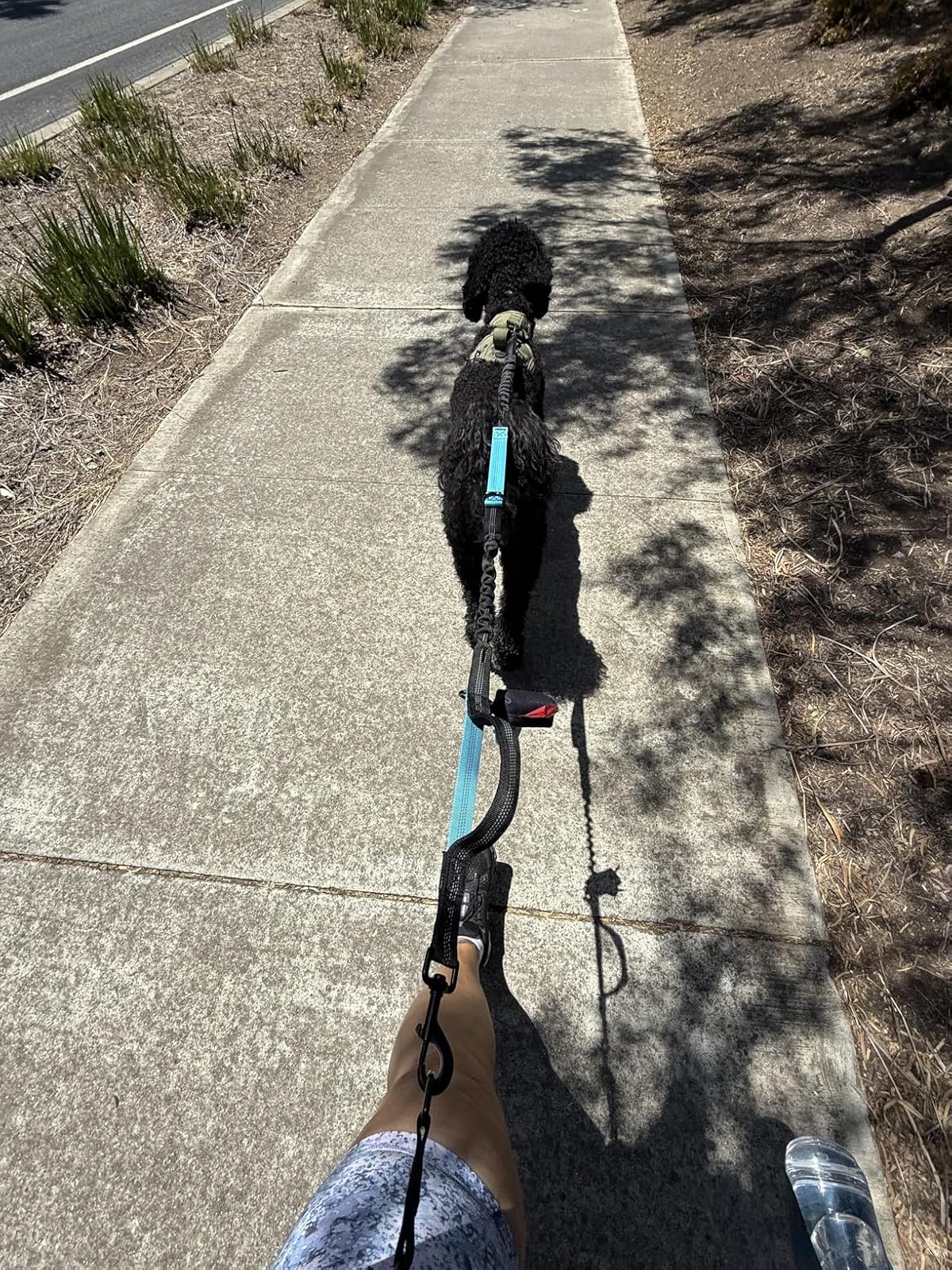 Pawlis™ - Running Hands-Free Leash